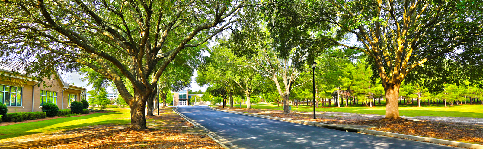 Ogeechee Tech graduated students