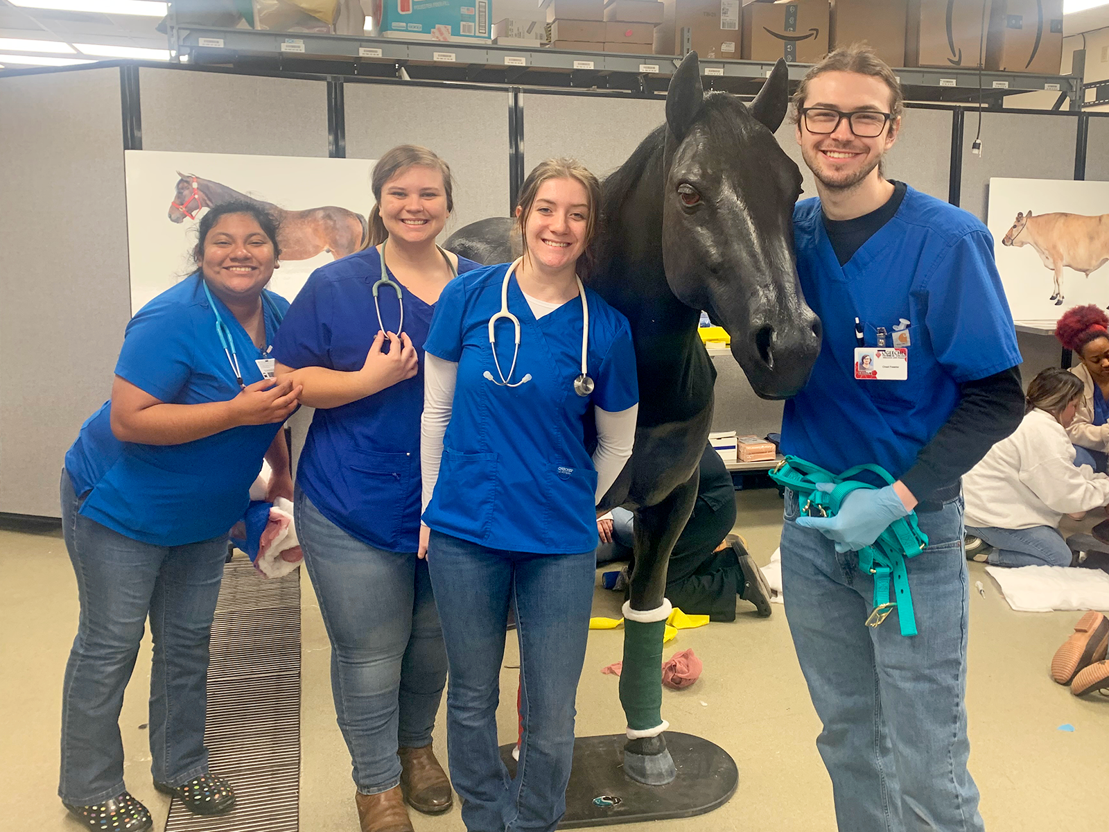OTC Vet Tech Students attending a attend a large animal skills lab