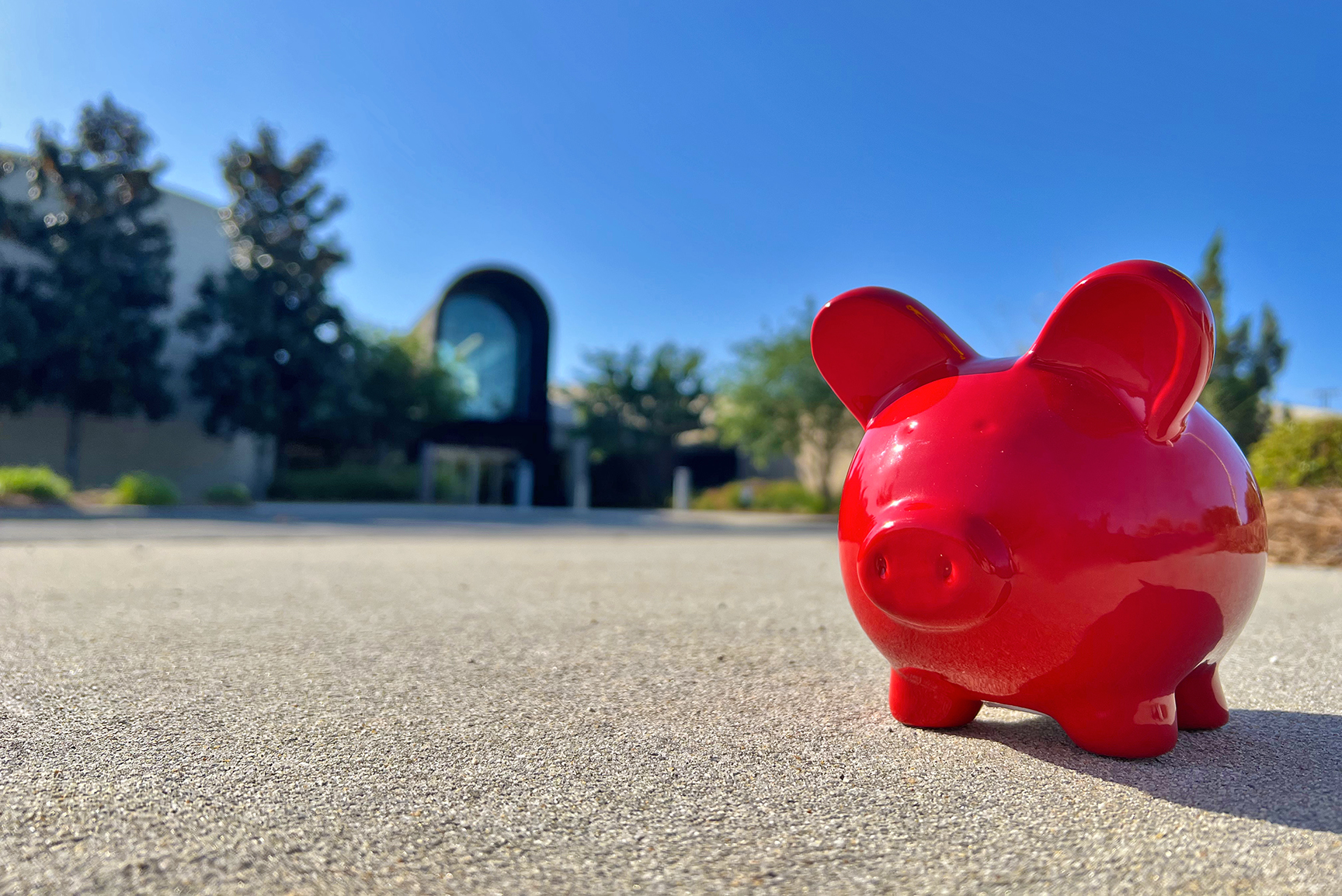Scholarship Piggy Bank