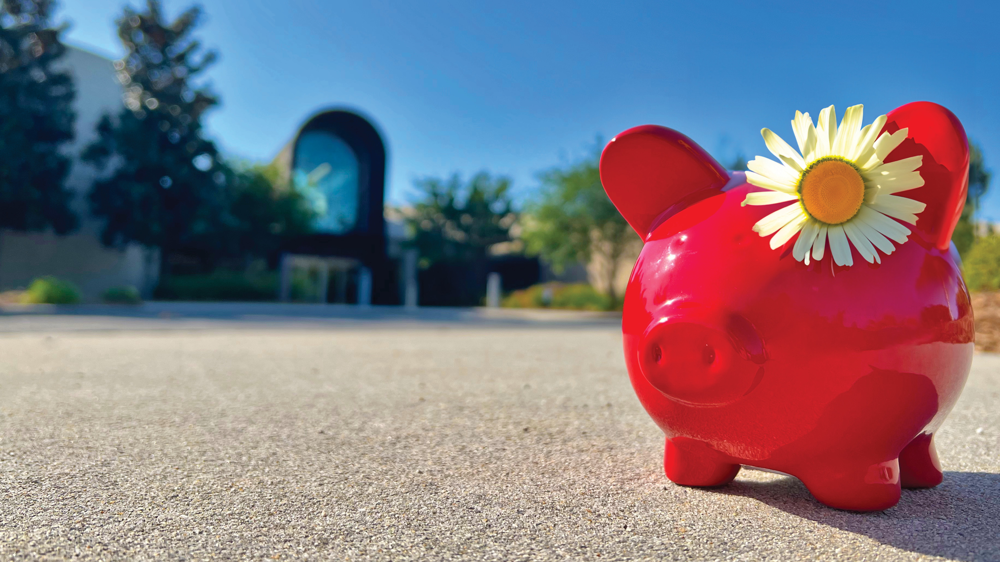 Spring Scholarship Piggy Bank
