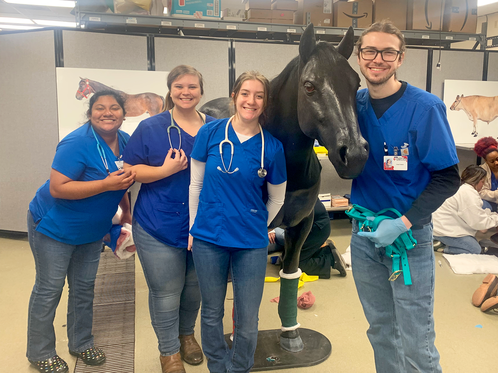 OTC Vet Tech Students Attending Large Animal Skills Lab, Athens Ga